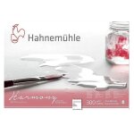 Bloc papier aquarelle - hahnem�hle - harmony - 300g / m2 - 12 feuilles - grain fin - a4