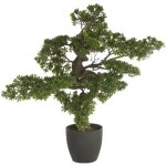 Bonsai artificiel gant avec pot en plastique / ciment - dim : h 80 x l 80 x p 60 cm
