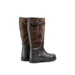 Bottes aigle inverss gtx - homme - marron - adulte - dark brown