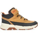 Bottines geox j36lcg