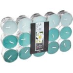 Lot de 30 bougies chauffe - plat parfum�es 37cm fleur de tiar�