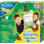 Buki serre d�levage de papillons - diam�tre 26 cm kit �ducatif d�s 4 ans