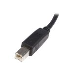 C�ble usb 2. 0 a vers b de 2 m - startech - usb2hab2m - noir - garantie � vie