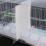 Cage - xuanyu - pour canaris et petits oiseaux exotiques mtal vernis blanc et bac de cage en plastique ...