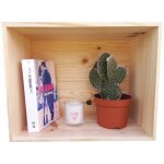 Caisse en bois idale en dcoration - boite en bois a decorer 33x26x17 cm en pin massif [ caisse de rangement ...