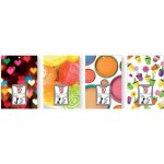 Calendrier phmride - lecas - comique 2014 - 6 x 9 cm - plaque en plastique - modles assortis