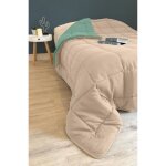 Calgary - couette chaude microfibre 400gr / m� - beige et vert - 200 x 200 cm