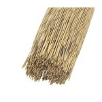 Canisse en roseau 15 x 5 m