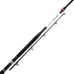 Canne mer shimano vengeance standup (511 - 165 - 1 - 8 - 165 - 30 - 50)