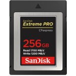 Carte mémoire - sandisk - extreme pro - 256 go - compactflash - 1700 mo / s Carte mémoire - sandisk - extreme pro - 256 go - compactflash - 1700 mo / s