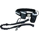 Ceinture ventrale avec laisse Ceinture ventrale avec laisse