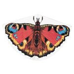 Cerf - volant monofil papillon - gunther - pour enfant � partir de 4 ans - r�sistant et facile � diriger ...