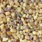 Charbon golden aladin 33 mm + encens en grains oliban du soudan