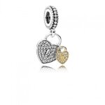 Charm - pandora - 791807cz - argent - femme - adulte Charm - pandora - 791807cz - argent - femme - adulte