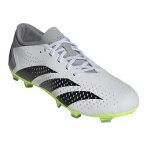 Chaussures de football adidas predator accuracy3 l fg pour homme - blanc