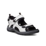 Chaussures - ecco - offroad - gris - scratch - femme