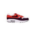 Chaussures nike air max 1 fn6952102