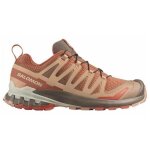 Chaussures salomon pour courir xa pro 3d v9 474682