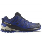 Chaussures de trail running - salomon xa pro 3d v9 gtx - bleu - homme - gore - tex