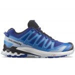 Chaussures de trail running - salomon - xa pro 3d v9 - homme - bleu - drop 10mm