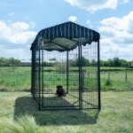 Chenil extérieure couvert pour chien - kit en panneaux modulaires ? 300 / 150 / 183 - treillis soudés ... Chenil extérieure couvert pour chien - kit en panneaux modulaires ? 300 / 150 / 183 - treillis soudés ...