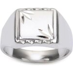 Chevalire argent charles argent (rhodi) - 12x11 mm [q9414]