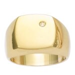 Chevalire homme plaqu or charles blanc dor - oxyde de zirconium - 13x13 mm [les tresors de lily r3204] ...