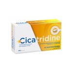 Cicatridine 10 suppositoires