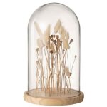 Cloche en verre dco fleurs sches 38cm cru