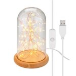 Cloche en verre - d�coration - guirlande lumineuse micro led - socle en bois - int�rieur - blanc