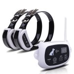Clôture anti - fugue - rechargeable - 2 chiens - système sans fil - Étanche - utilisation extérieure Clôture anti - fugue - rechargeable - 2 chiens - système sans fil - Étanche - utilisation extérieure