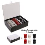 Coffret bougies - la chaise longue - 6 bougies parfumes - ptales de rose - inscriptions damour