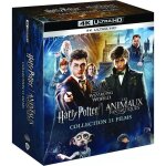 Coffret collection 11 films blu - ray / 4k lintgrale harry potter et les animaux fantastiques