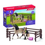 Coffret kit de soin pour chevaux andaloux schleich 42270 horse club coffret figurines pour enfants d�s ...