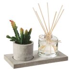 Coffret senteur diffuseur dint�rieur 100 ml