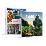 Coffret cadeau smartbox - billets pour le zooparc de beauval 2025 : 2 entres adulte et 1 entre enfant ...