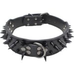 Collier chien - haopyou - cuir clout� - ajustable - non toxique - noir