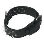 Collier pour chien - noir cuir clout
