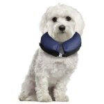 Collier gonflable pour chiens extra small
