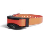 Collier de dressage sportdog sdr - afe - noir et orange - petit chien - pour sd - 425e - sd - 825e - ... Collier de dressage sportdog sdr - afe - noir et orange - petit chien - pour sd - 425e - sd - 825e - ...