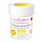 Colorant alimentaire (artificiel) jaune Colorant alimentaire (artificiel) jaune