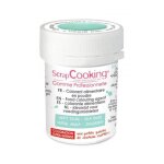Colorant alimentaire en poudre vert deau 5 g Colorant alimentaire en poudre vert deau 5 g