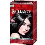 Coloration brillance 890 noir