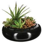 Composition des plantes arificielles vase en c�ramique h6 cm noir h6cm - atmosphera createur dinterieur ...