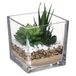 Composition des plantes arificielles pot verre h12cm - atmosphera createur dinterieur