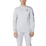 Pull molleton - le coq sportif - homme - gris - manches longues - col classique