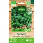Coriandre bio vilmorin