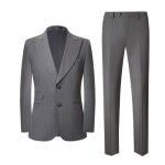 Costume homme slim 2 pices business mariage crmonie rayure - gris