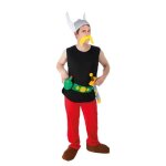 Costume licence asterix 9 pieces.
