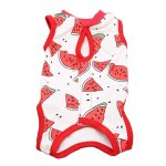 Costume de rcupration pour chat - salalis - coton doux - anti - lchage - ouverture pratique